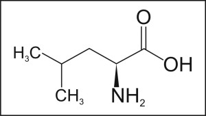 L-Leucine